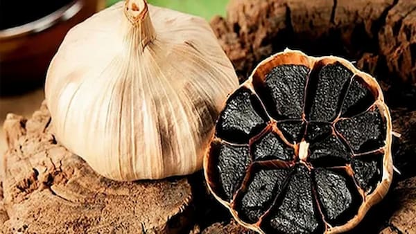 تصویر 4 از سیر سیا درجه یک + فروش ویژه